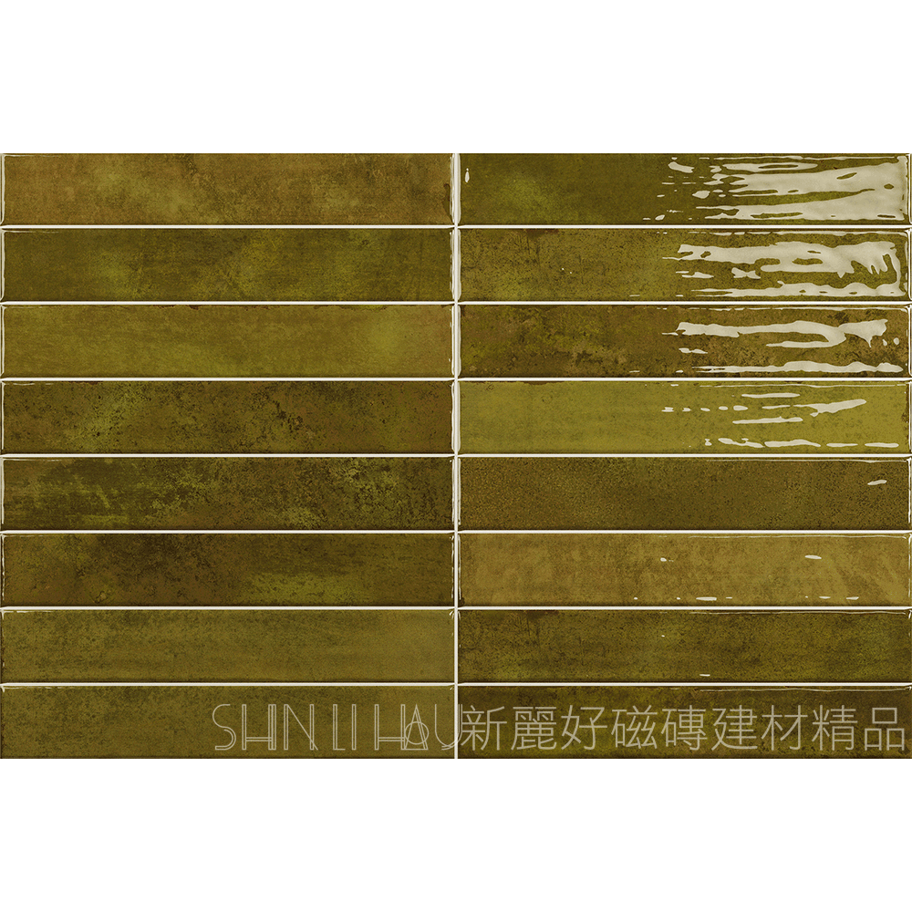 苔綠C309CI0607450043