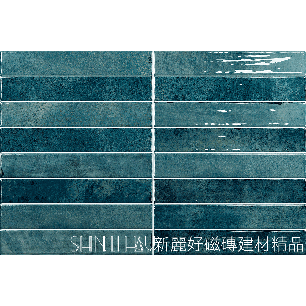 海韻藍C309CI0607350043