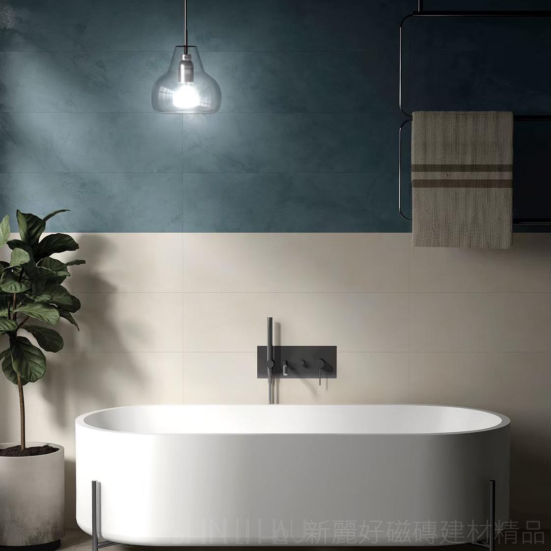 清水模塗料磚-亞頓白C908C03365-HW08850