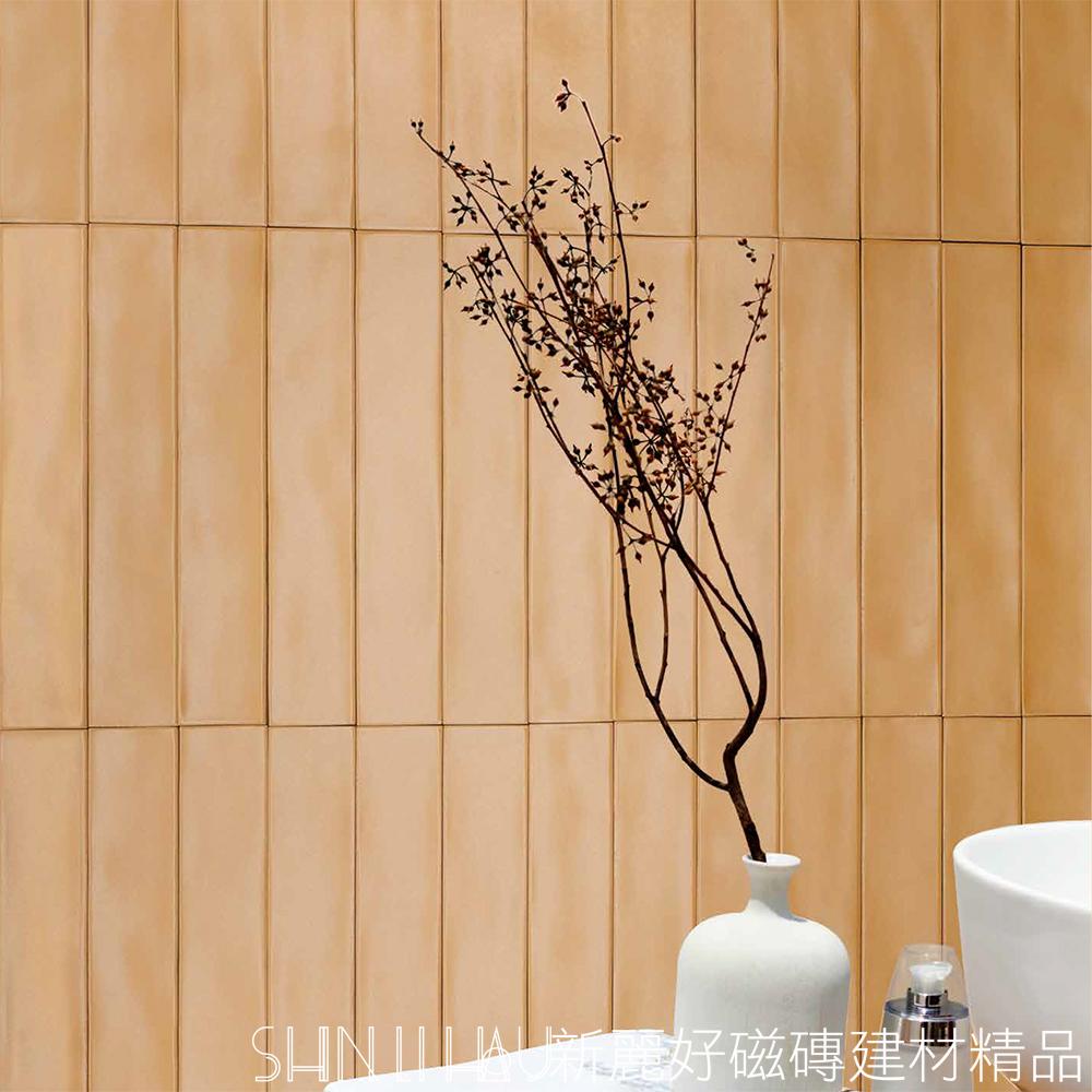 長條地鐵彩磚-復古紅-漫漫R1106SNERCGE30923600