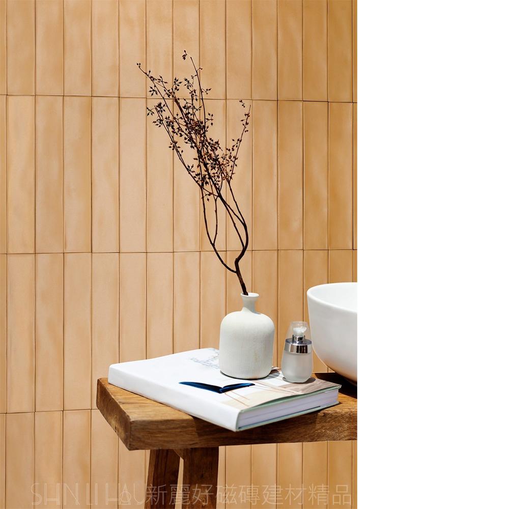 長條地鐵彩磚-復古紅-漫漫R1106SNERCGE30923600