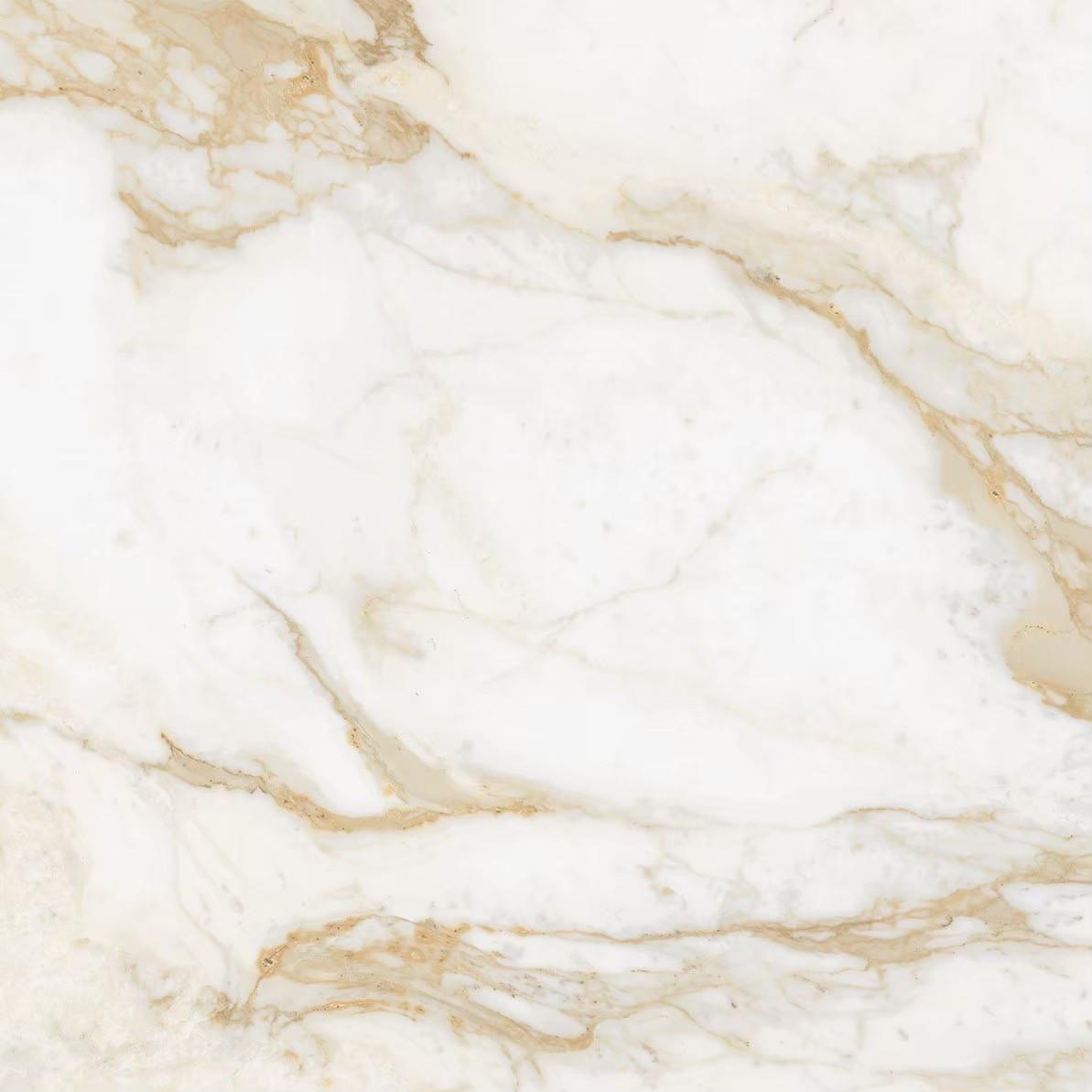 黃金銀狐F807AC8679P92880